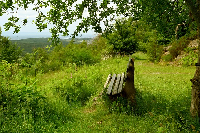 拜仁官方：于帕梅卡诺因负荷管理未进战圣保利大名单