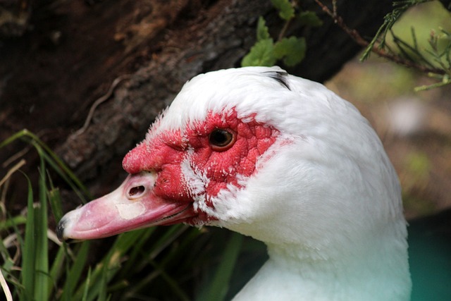 官方：格列兹曼荣膺2025金足奖